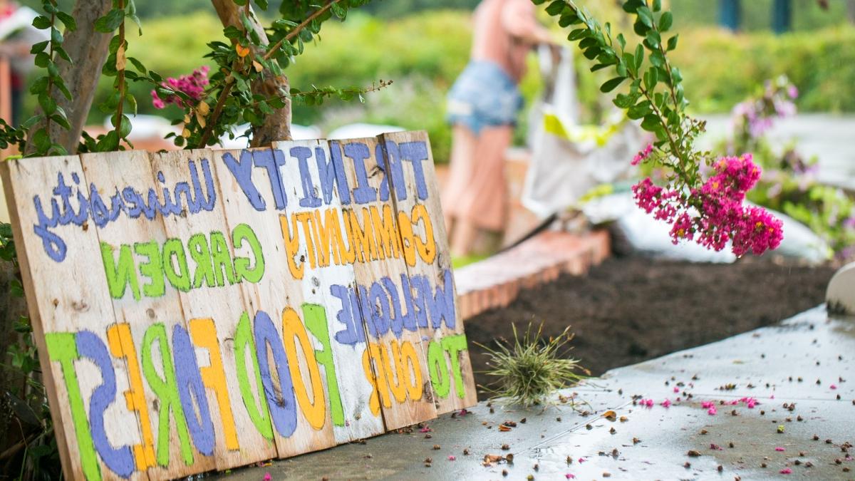 Trinity community food forest sign on campus in front of the student community garden